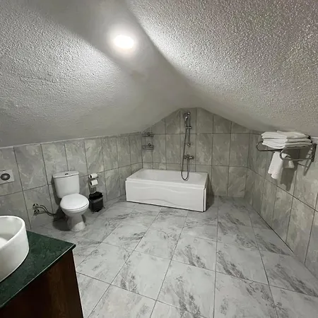New Garden Airport Hotel 3*